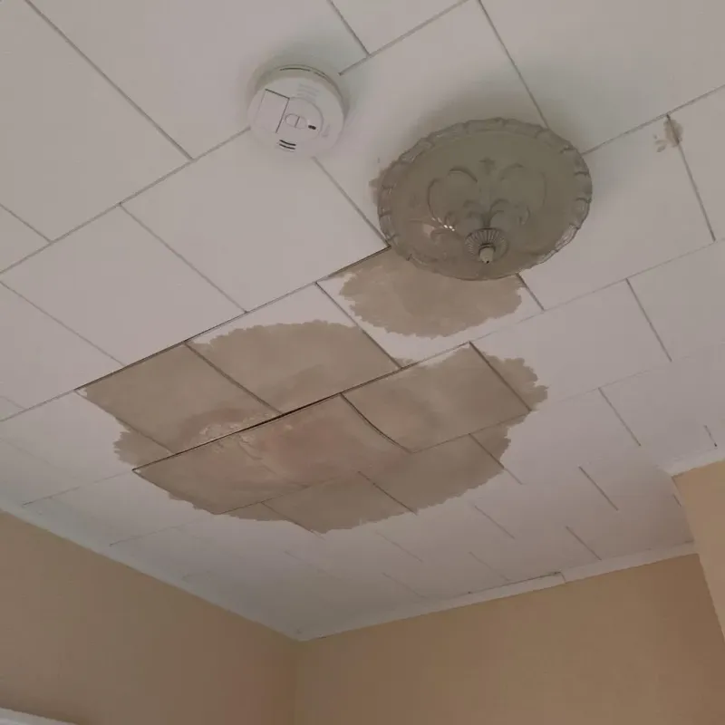 Ceiling Water Damage Repair in Roseville, MN
