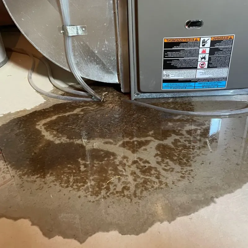 Pipe Burst and Leak Restoration in Roseville, MN